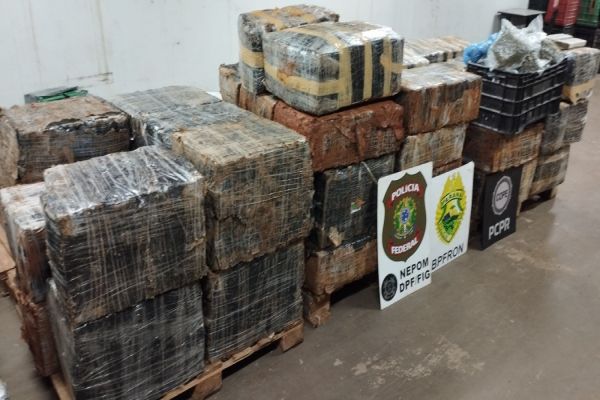 Imagem referente a notícia: PF e PM interceptam 1,7 tonelada de maconha após confronto no rio Iguaçu