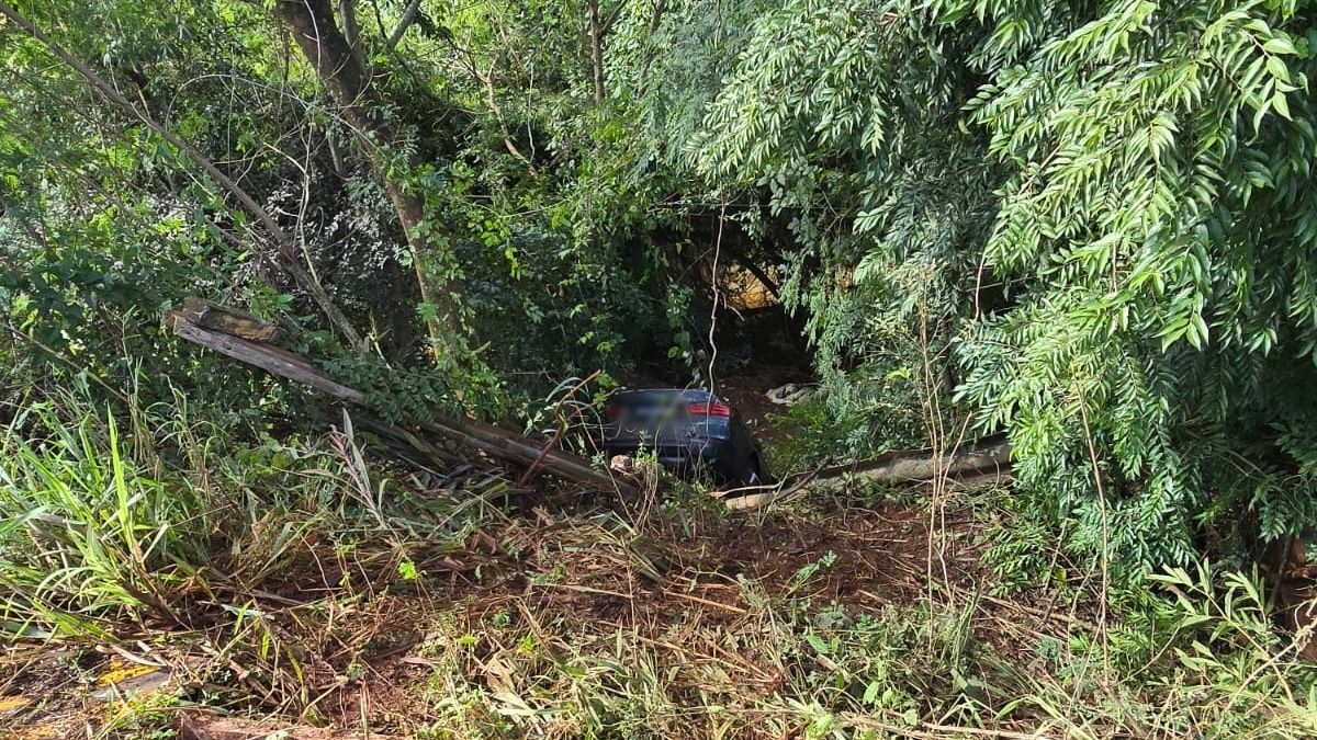 BMW sai da pista e colide com defensa e vala na PR-317, em Jesuítas