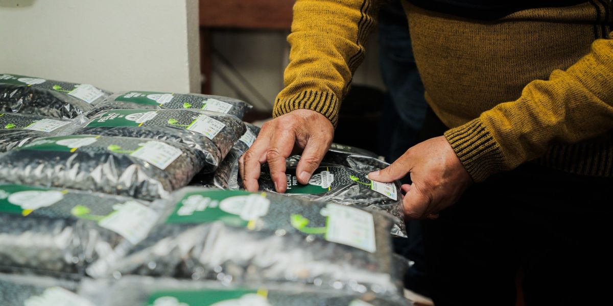 Feijão Preto com Selo de Qualidade: Agricultura Urbana de Cascavel ganha nova etapa com comercialização em Feiras