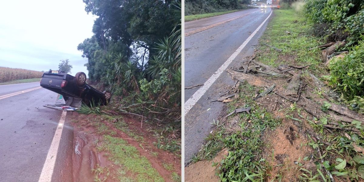 Queda de árvore causa acidente com dois veículos na PR-573, em Corbélia