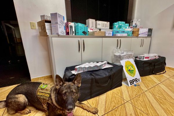 Imagem referente a notícia: Ação com cães do BPRv intercepta drogas e contrabando em ônibus na BR-277 em Santa Tereza do Oeste