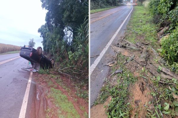 Queda de árvore causa acidente com dois veículos na PR-573, em Corbélia