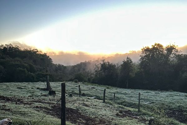 Cascavel registra -5°C e tem a manhã mais fria do ano com geada e sensação térmica de -6°C