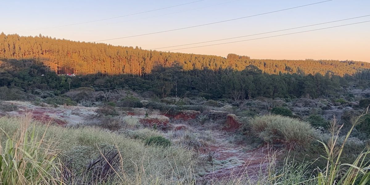 Onda de frio e geadas preocupam agricultores em várias regiões