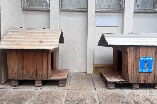 Imagem referente a notícia: Corbélia promove entrega de casinhas para animais de rua e realiza feirinha de adoção no dia 3 de julho