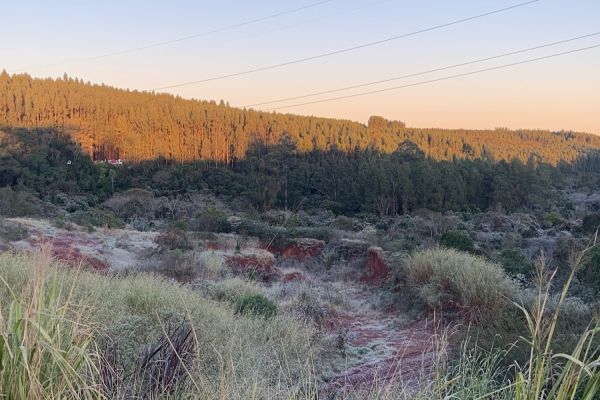 Onda de frio e geadas preocupam agricultores em várias regiões