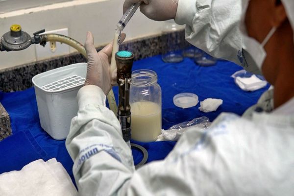 Leite que salva: Banco do HUOP é referência regional no cuidado com prematuros