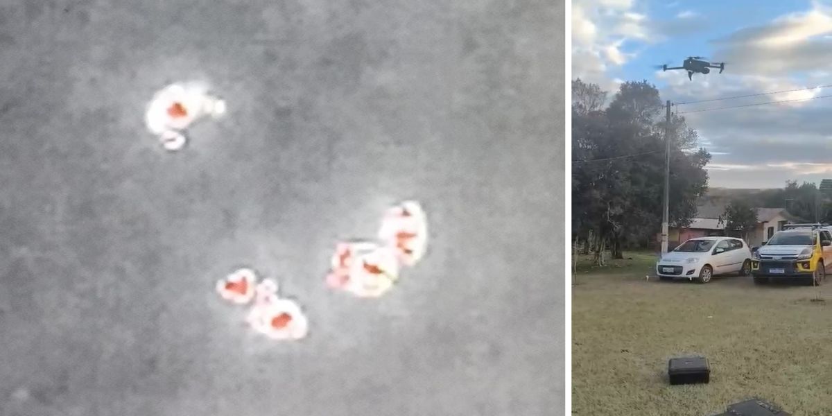 Drone com câmera térmica reforça segurança no campo em Cascavel