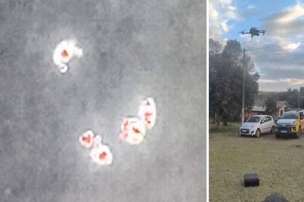 Imagem referente a notícia: Drone com câmera térmica reforça segurança no campo em Cascavel