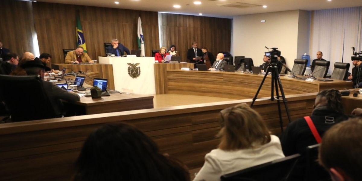 Relatora concorda com voto de Marcio Pacheco pela punição a Renato Freitas