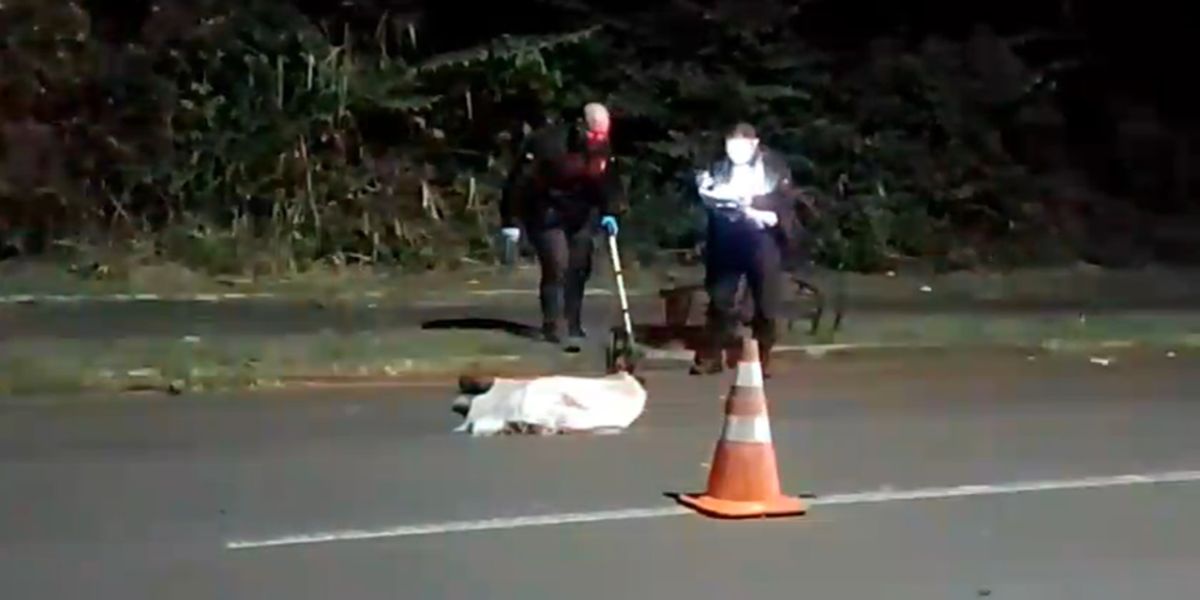 Coletor de recicláveis morre atropelado e motorista foge sem prestar socorro em Foz do Iguaçu