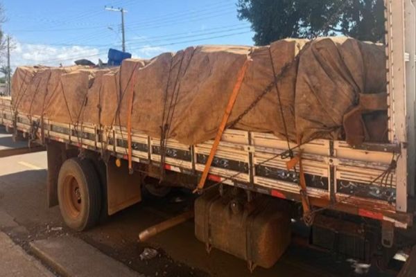 Polícia Federal, Polícia Militar do Paraná e Polícia Civil de Minas Gerais realizam grande apreensão de entorpecentes