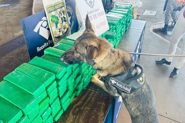 Receita Federal apreende mais de 227 kg de maconha escondidos em van paraguaia na fronteira