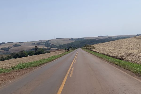 Assembleia Legislativa do Paraná aprova exigência de instalação de acostamento em novas rodovias estaduais