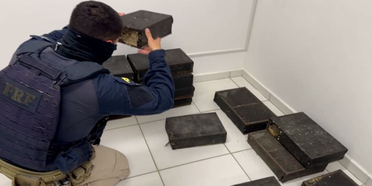 PRF flagra transporte ilegal de 250 aves silvestres na BR-476 em Araucária