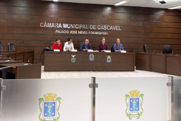 Imagem referente a notícia: CPI sobre abuso em CMEI avança com oitiva e análise de documentos