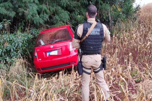 Veículo com alerta de roubo é recuperado em mata na zona rural de Cafelândia