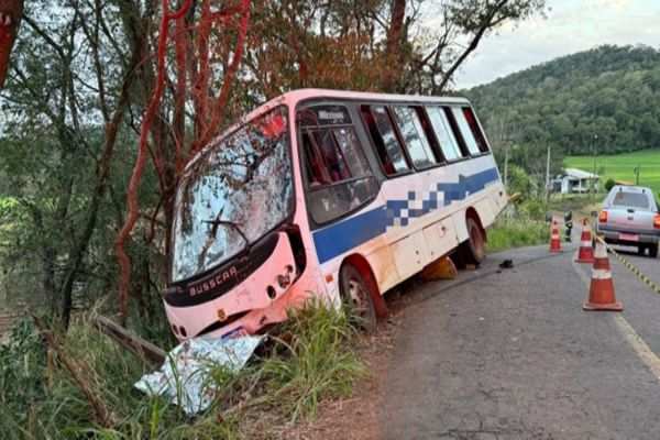 Imagem referente a notícia: Motociclista morre após colisão frontal com ônibus no interior de Santa Helena