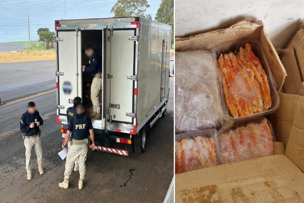 PRF apreende 2,5 toneladas de pescado com indícios de contrabando na BR-158