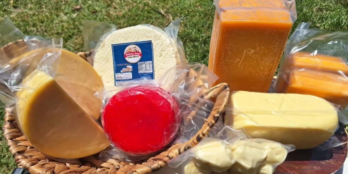 Com 165 medalhas, Paraná se destaca novamente no Prêmio Queijo Brasil