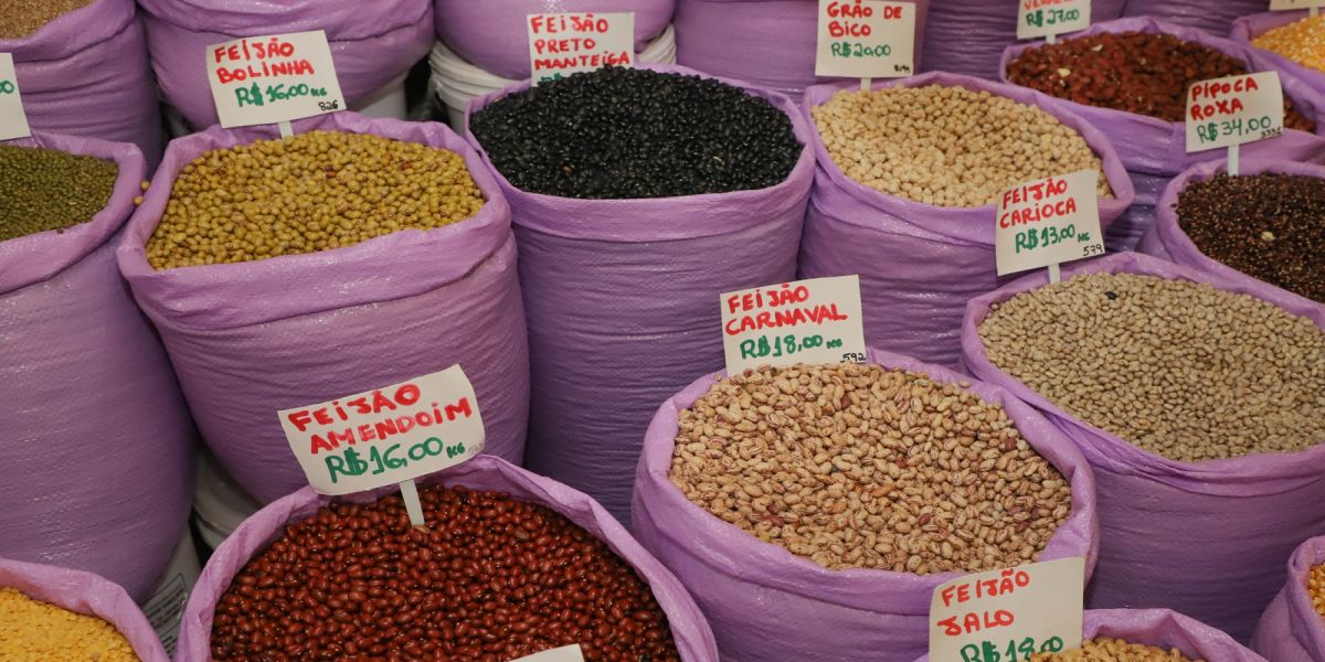 Paraná confirma novo recorde e liderança nacional na produção de feijão: 865 mil toneladas