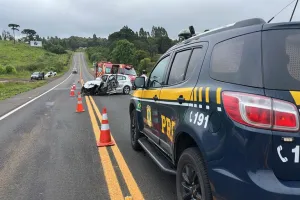 Colisões frontais e atropelamentos concentram mais da metade das mortes em rodovias federais no Paraná