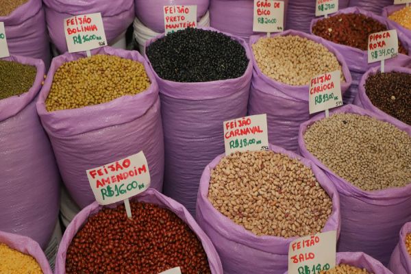 Imagem referente a notícia: Paraná confirma novo recorde e liderança nacional na produção de feijão: 865 mil toneladas