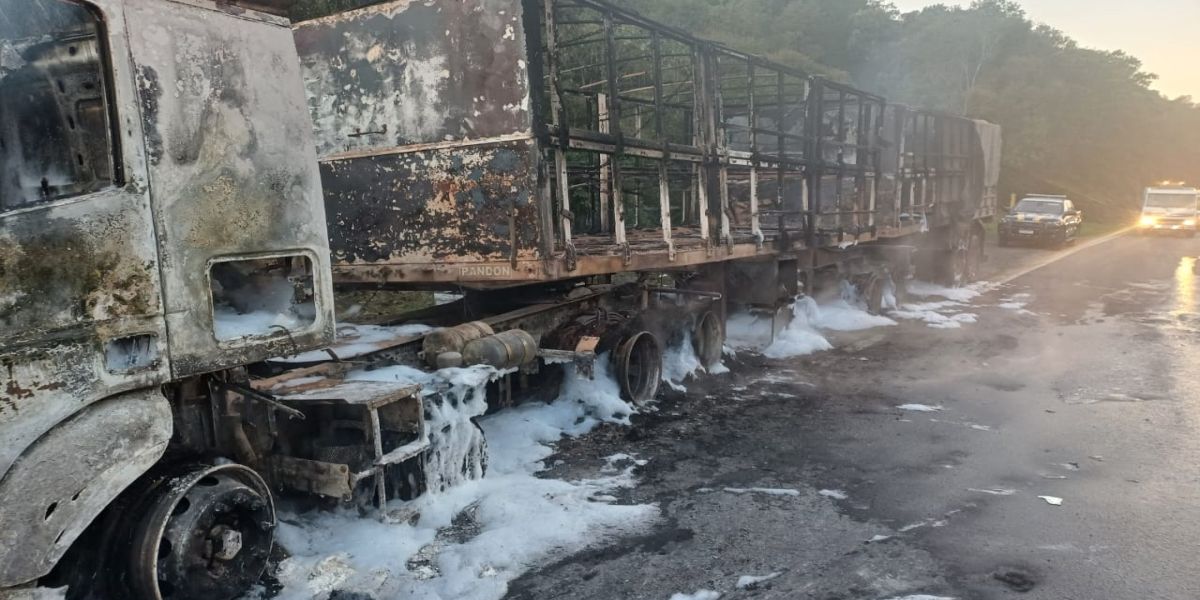 Incêndios mobilizam PRF na BR-277 entre os KMs 48 e 74