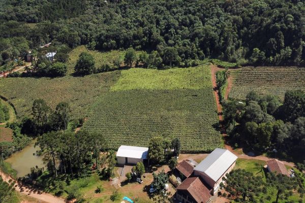 Imagem referente a notícia: Cascavel debate as oportunidades do Novo Código Florestal