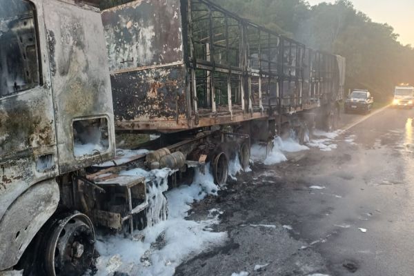 Imagem referente a notícia: Incêndios mobilizam PRF na BR-277 entre os KMs 48 e 74