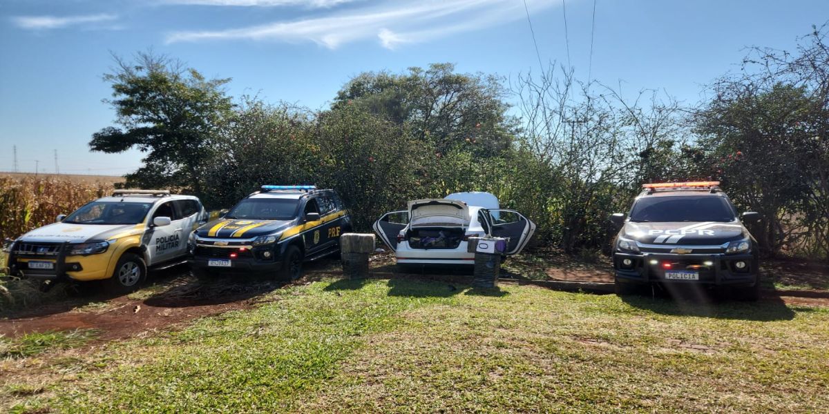 Mais de 460 quilos de maconha são apreendidos em ação conjunta da PRF, PC e PM em Santa Terezinha de Itaipu