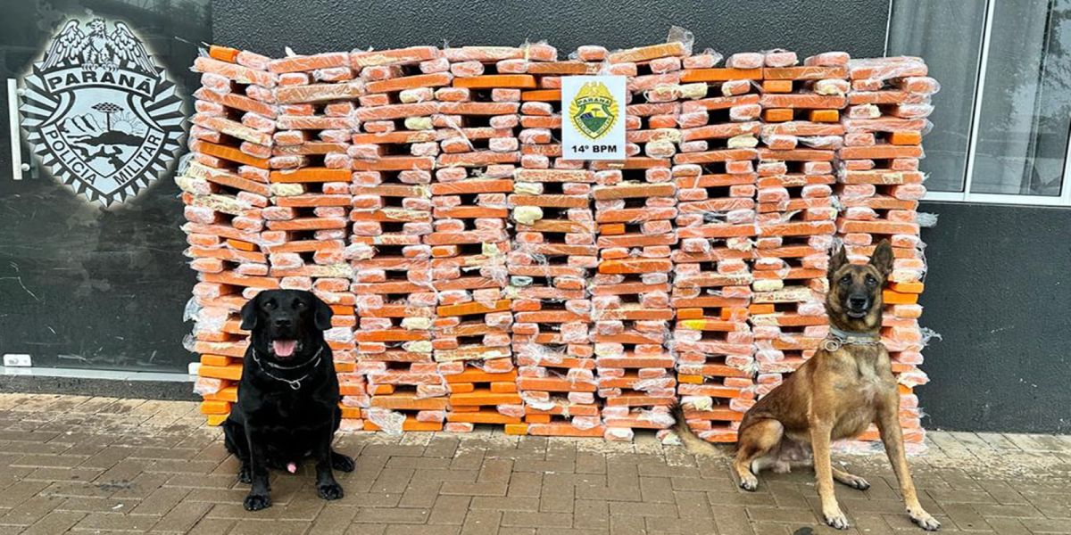 Faro apurado: canis da PMPR causam prejuízo de R$ 900 milhões ao crime desde 2023