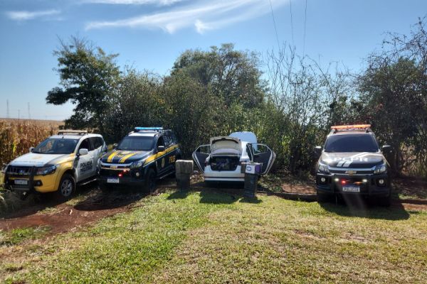 Imagem referente a notícia: Mais de 460 quilos de maconha são apreendidos em ação conjunta da PRF, PC e PM em Santa Terezinha de Itaipu