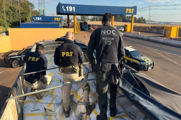 Imagem referente a notícia: PRF, Denarc e Receita Federal apreendem caminhão carregado com agrotóxicos contrabandeados em Cascavel