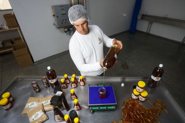 Mel do Oeste com IG impulsiona turismo gastronômico e valoriza agricultura familiar