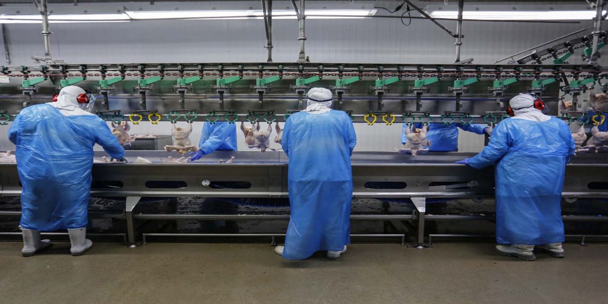 Paraná lidera geração de empregos pela rede Sine no primeiro semestre