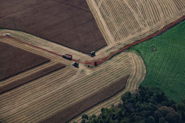 Imagem referente a notícia: Paraná teve maior crescimento econômico do Brasil nos primeiros cinco meses de 2025
