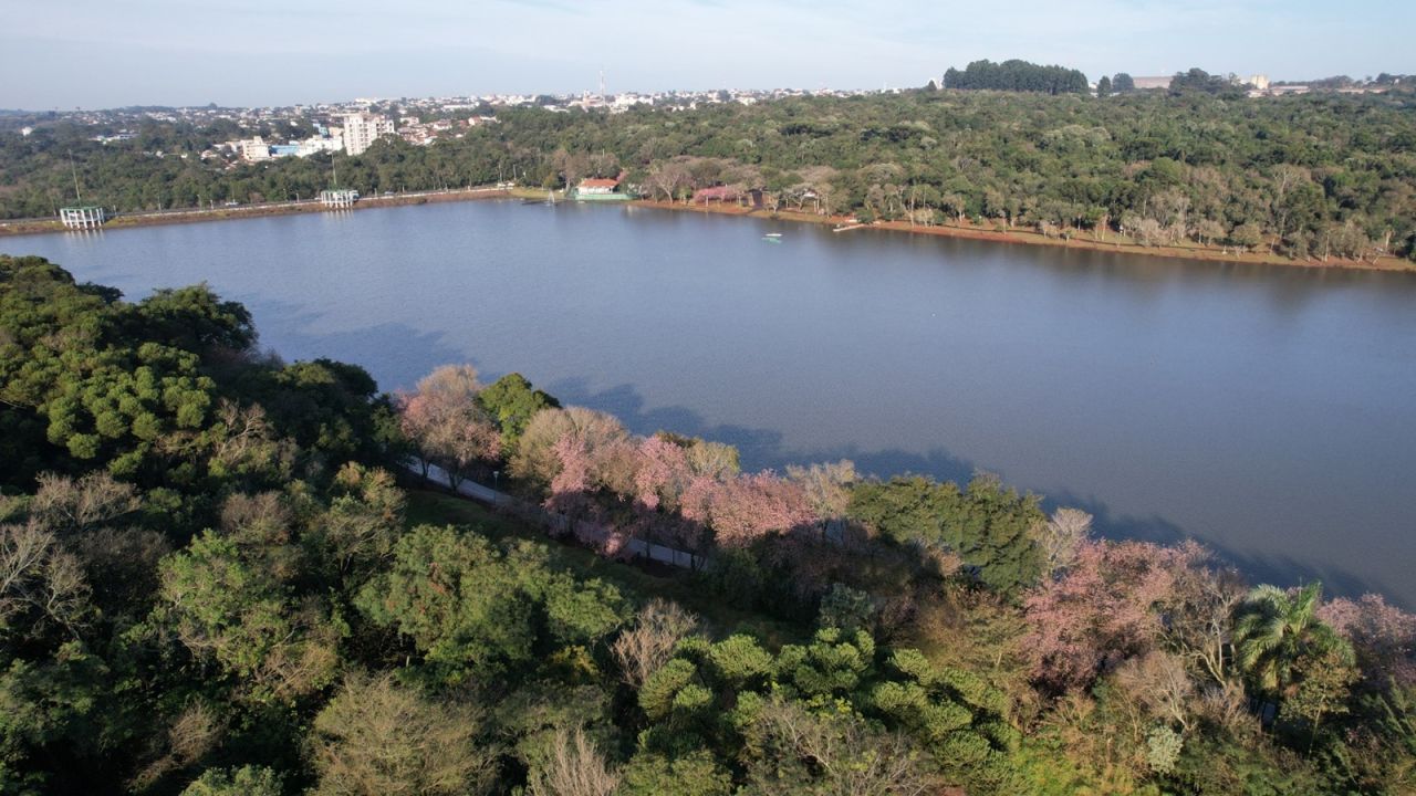 TERRITÓRIO VERDE: Audiência pública apresentará novo projeto para o entorno do Lago Municipal