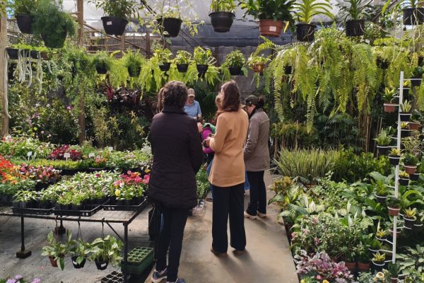 Curso de Jardinagem gratuito movimenta Corbélia com aulas teóricas e práticas