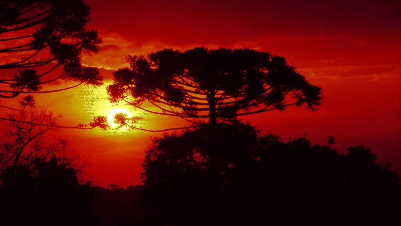 Julho foi seco e gelado, com temperaturas abaixo da média histórica, aponta Simepar
