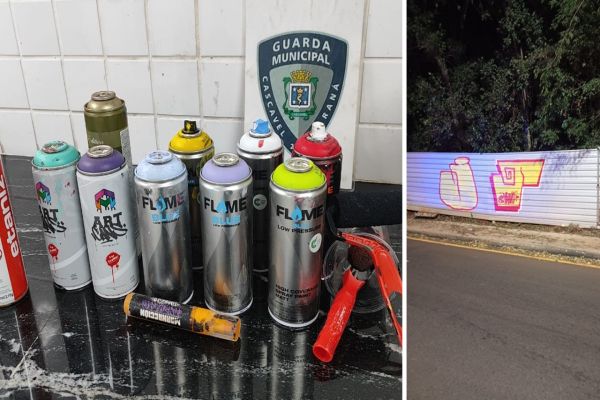 Casal é flagrado pichando placa no zoológico de Cascavel e acaba preso pela GM