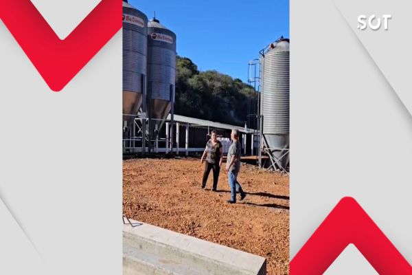 Imagem referente a notícia: Da estrada aos aviários: casal de Cascavel é destaque na avicultura da Coopavel