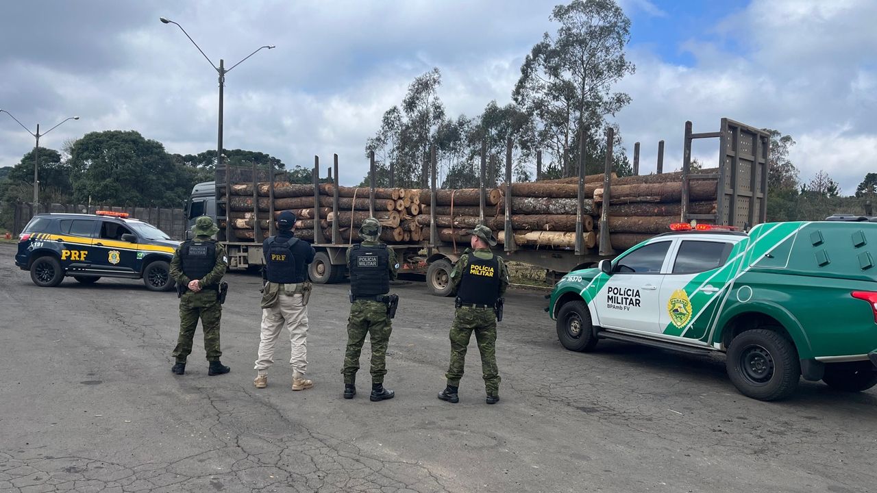 PRF e PM apreendem carga irregular de madeira nativa na BR-277, em Guarapuava
