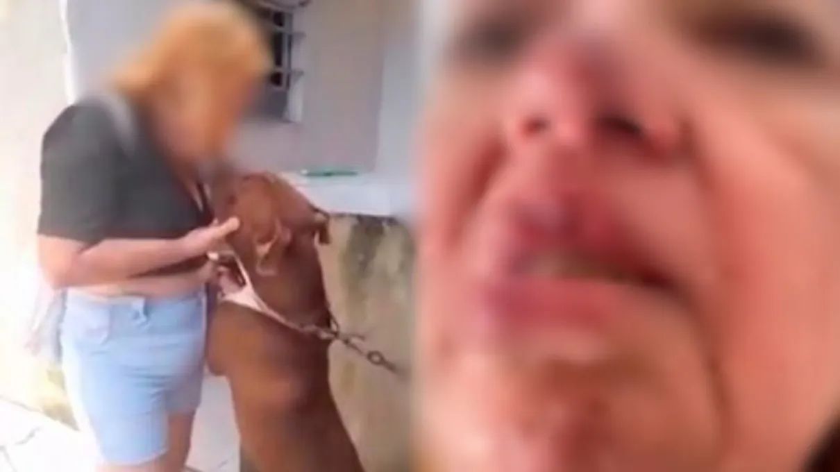 Mulher fica ferida ao tentar dar selinho em Pitbull e é mordida no rosto