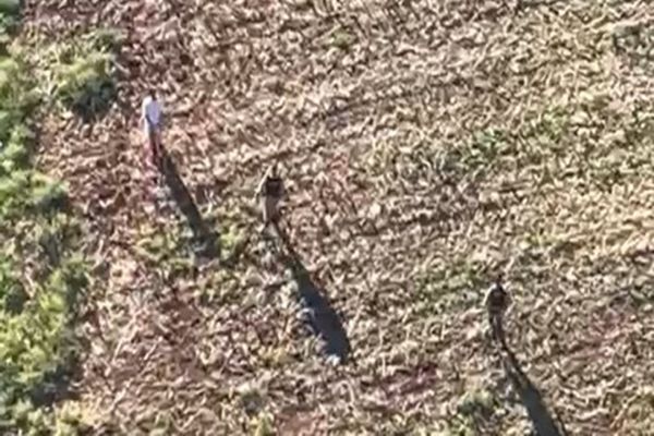 Fuga de presos mobiliza helicóptero e forças de segurança em Assis Chateaubriand