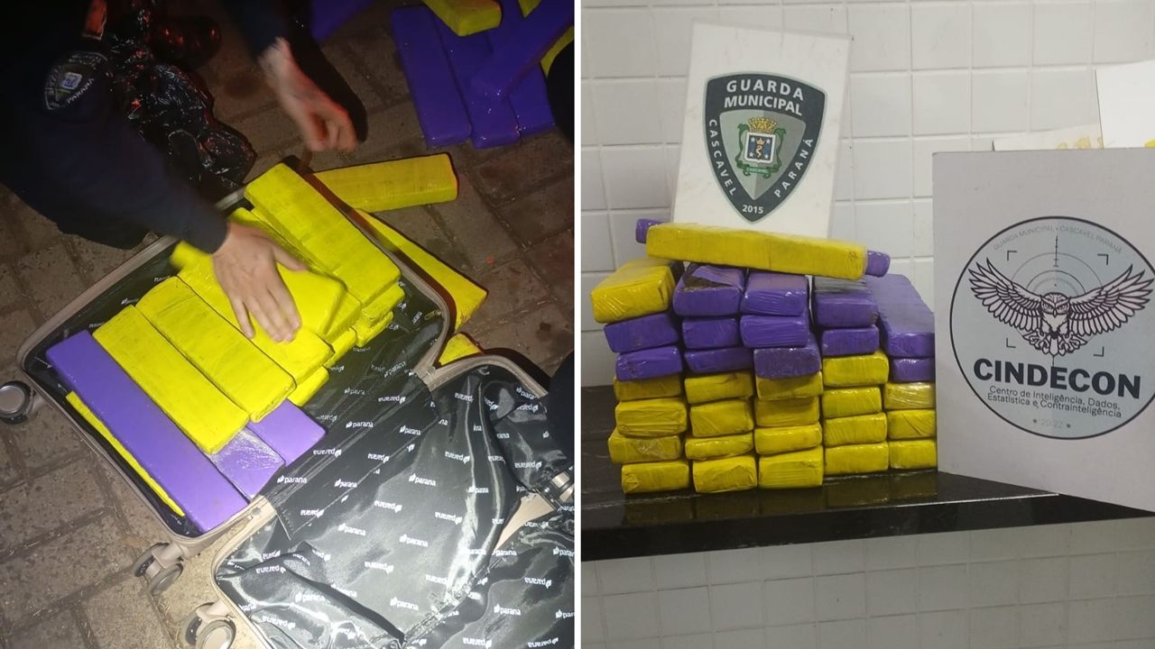 Viagem interrompida: GM de Cascavel apreende mais de 25 kg de maconha com passageiro de aplicativo