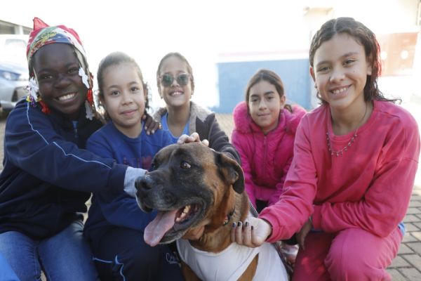 Imagem referente a notícia: Procão leva lição de guarda responsável para alunos de Cascavel