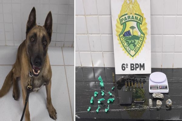 Imagem referente a notícia: Operação com cão farejador desmantela ponto de drogas e apreende armas no bairro Floresta, em Cascavel