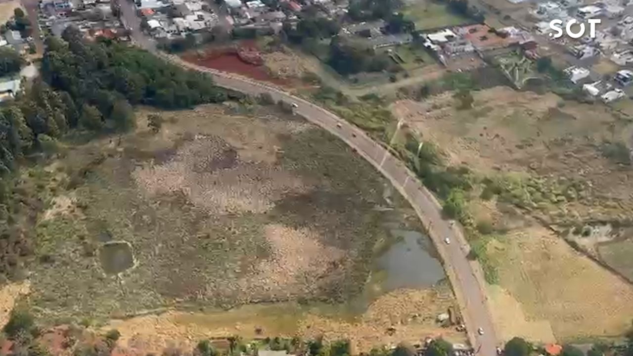 Onça assusta moradores e mobiliza helicóptero e forças de segurança em Cascavel