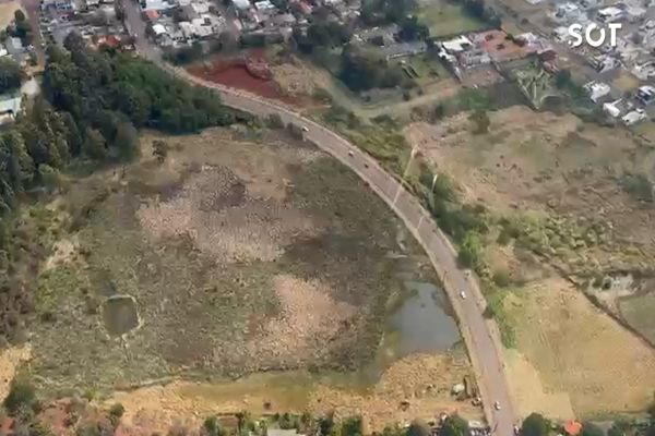 Imagem referente a notícia: Onça assusta moradores e mobiliza helicóptero e forças de segurança em Cascavel